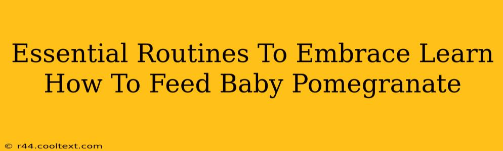 Essential Routines To Embrace Learn How To Feed Baby Pomegranate