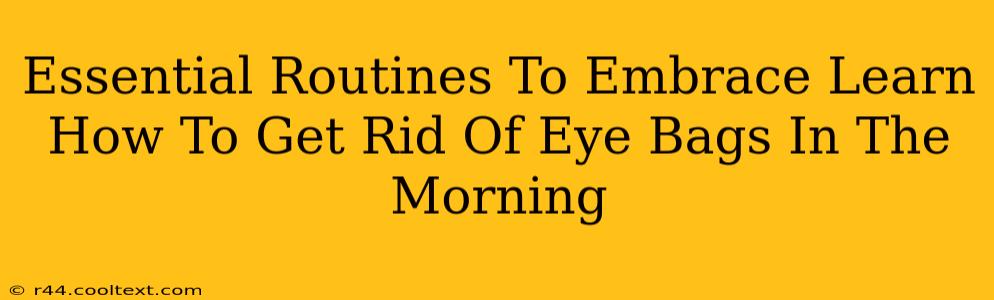 Essential Routines To Embrace Learn How To Get Rid Of Eye Bags In The Morning