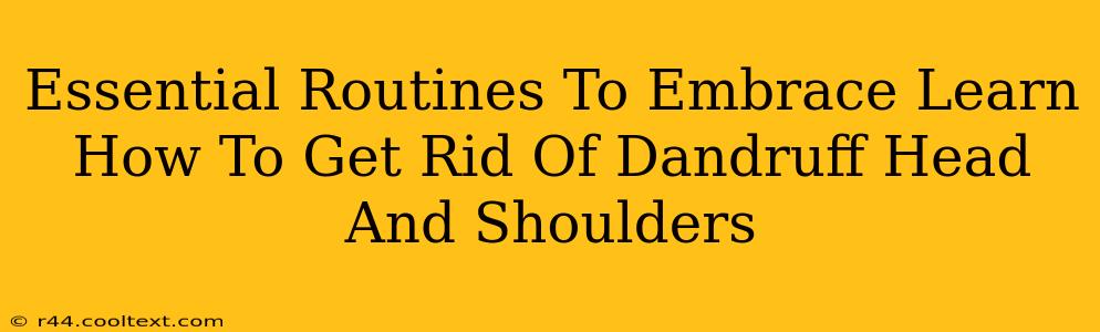 Essential Routines To Embrace Learn How To Get Rid Of Dandruff Head And Shoulders