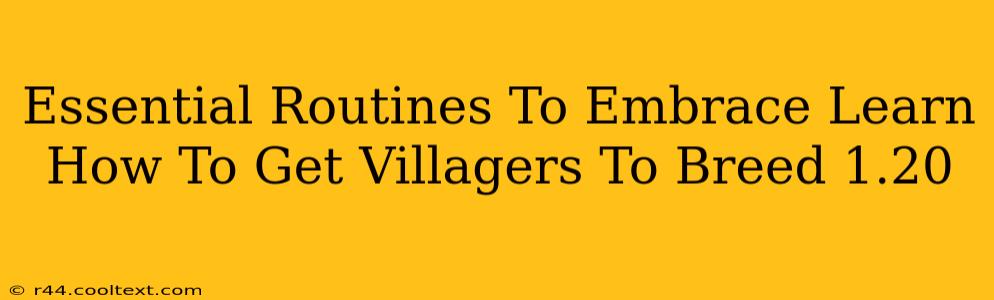 Essential Routines To Embrace Learn How To Get Villagers To Breed 1.20