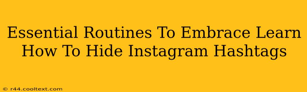 Essential Routines To Embrace Learn How To Hide Instagram Hashtags