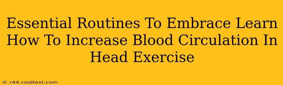 Essential Routines To Embrace Learn How To Increase Blood Circulation In Head Exercise