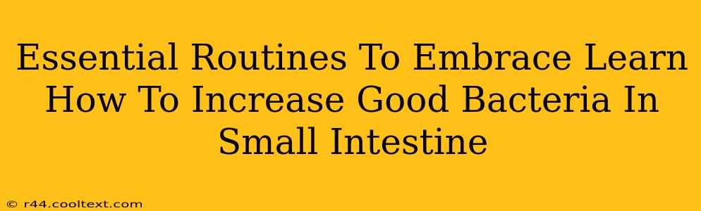 Essential Routines To Embrace Learn How To Increase Good Bacteria In Small Intestine