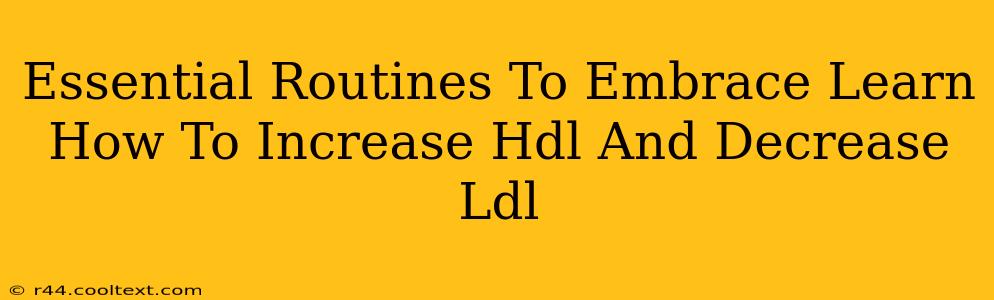 Essential Routines To Embrace Learn How To Increase Hdl And Decrease Ldl