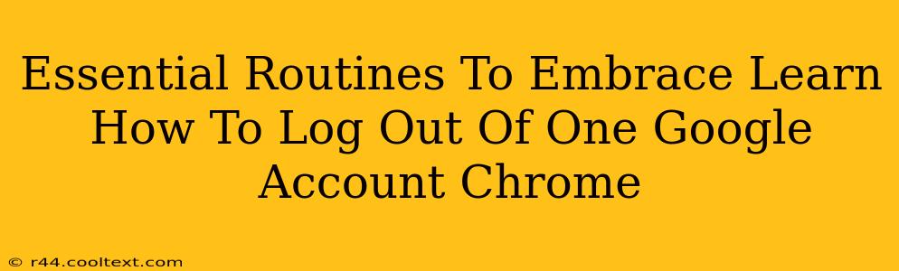 Essential Routines To Embrace Learn How To Log Out Of One Google Account Chrome