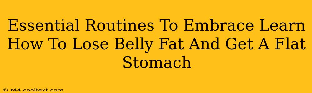 Essential Routines To Embrace Learn How To Lose Belly Fat And Get A Flat Stomach