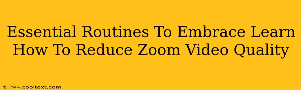 Essential Routines To Embrace Learn How To Reduce Zoom Video Quality