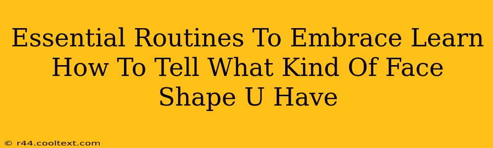 Essential Routines To Embrace Learn How To Tell What Kind Of Face Shape U Have