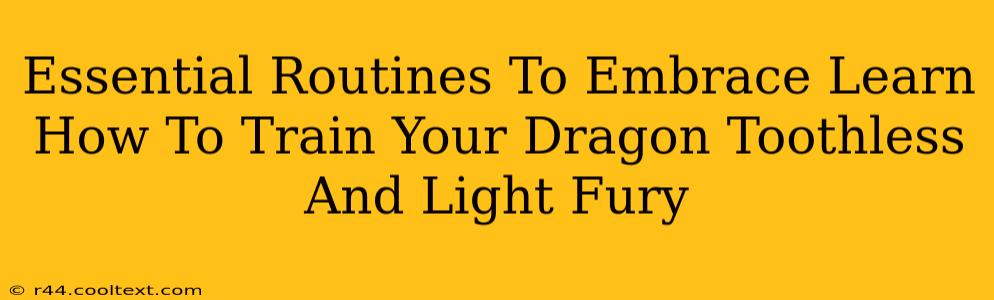 Essential Routines To Embrace Learn How To Train Your Dragon Toothless And Light Fury