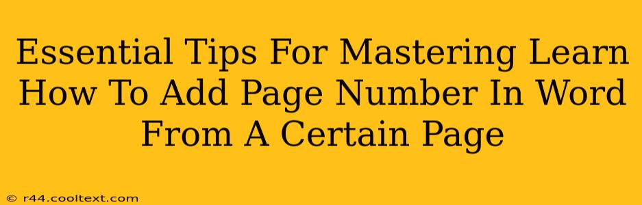 Essential Tips For Mastering Learn How To Add Page Number In Word From A Certain Page