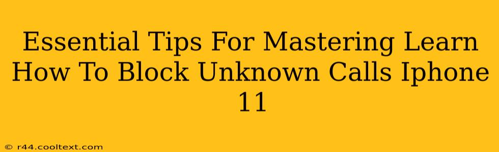 Essential Tips For Mastering Learn How To Block Unknown Calls Iphone 11