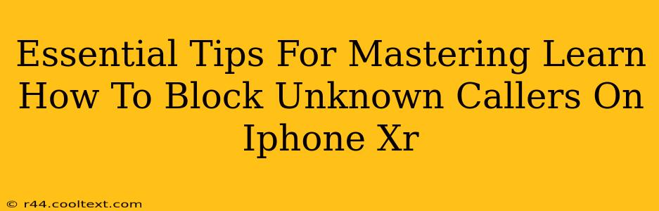 Essential Tips For Mastering Learn How To Block Unknown Callers On Iphone Xr