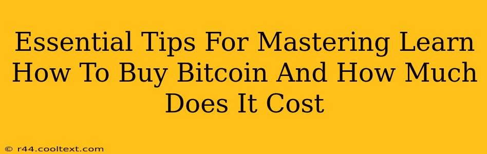 Essential Tips For Mastering Learn How To Buy Bitcoin And How Much Does It Cost