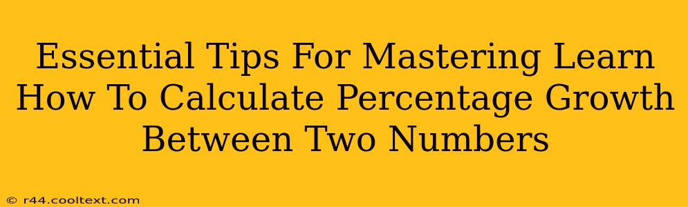 Essential Tips For Mastering Learn How To Calculate Percentage Growth Between Two Numbers