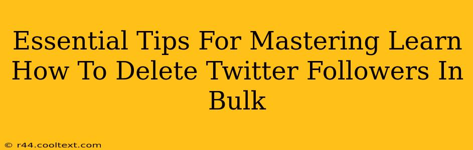 Essential Tips For Mastering Learn How To Delete Twitter Followers In Bulk