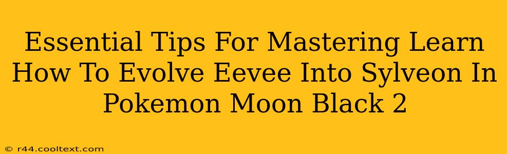 Essential Tips For Mastering Learn How To Evolve Eevee Into Sylveon In Pokemon Moon Black 2