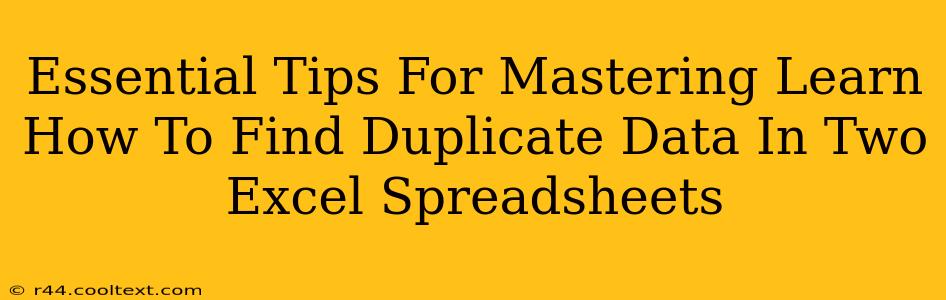 Essential Tips For Mastering Learn How To Find Duplicate Data In Two Excel Spreadsheets