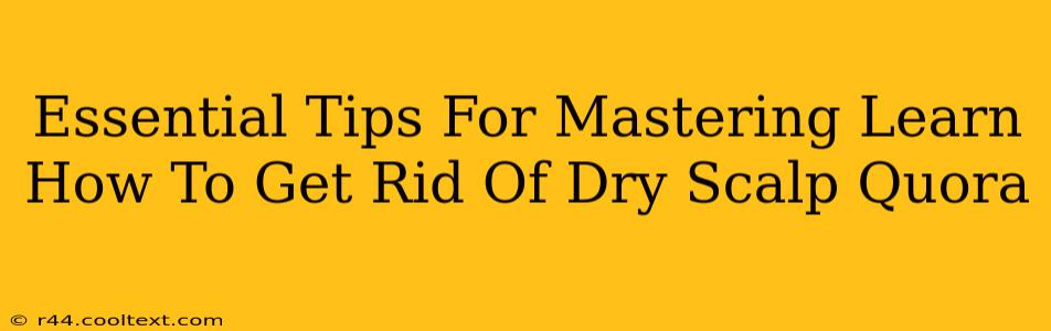 Essential Tips For Mastering Learn How To Get Rid Of Dry Scalp Quora