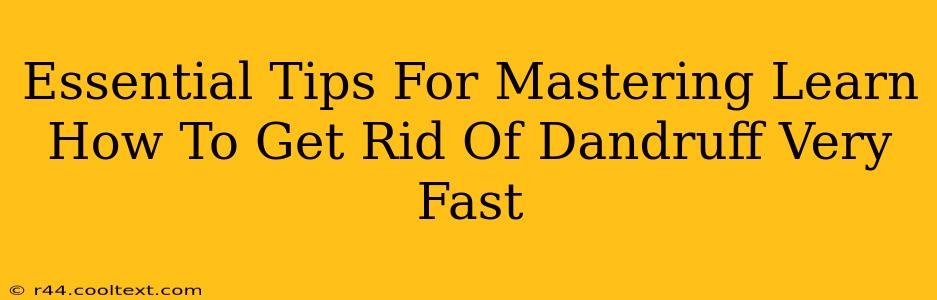 Essential Tips For Mastering Learn How To Get Rid Of Dandruff Very Fast