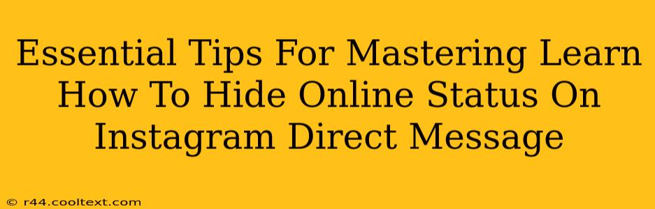 Essential Tips For Mastering Learn How To Hide Online Status On Instagram Direct Message