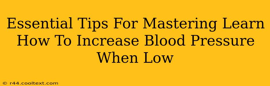 Essential Tips For Mastering Learn How To Increase Blood Pressure When Low