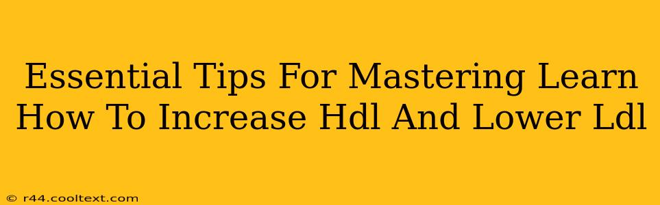 Essential Tips For Mastering Learn How To Increase Hdl And Lower Ldl