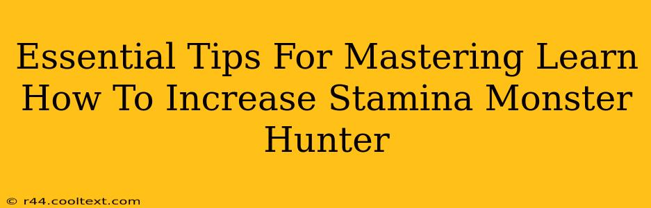 Essential Tips For Mastering Learn How To Increase Stamina Monster Hunter