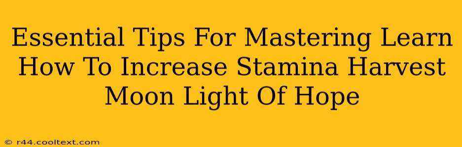 Essential Tips For Mastering Learn How To Increase Stamina Harvest Moon Light Of Hope