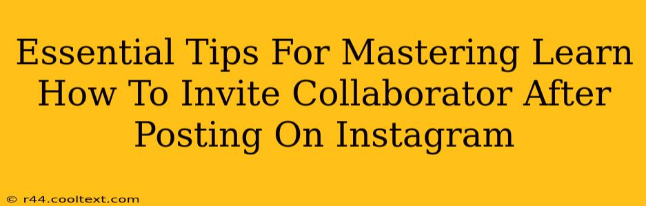 Essential Tips For Mastering Learn How To Invite Collaborator After Posting On Instagram