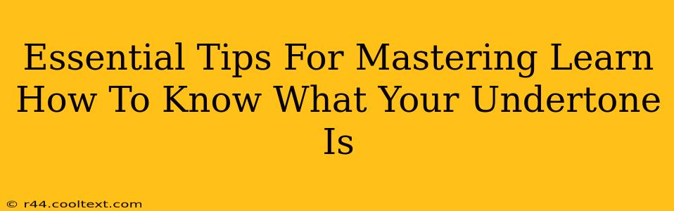 Essential Tips For Mastering Learn How To Know What Your Undertone Is