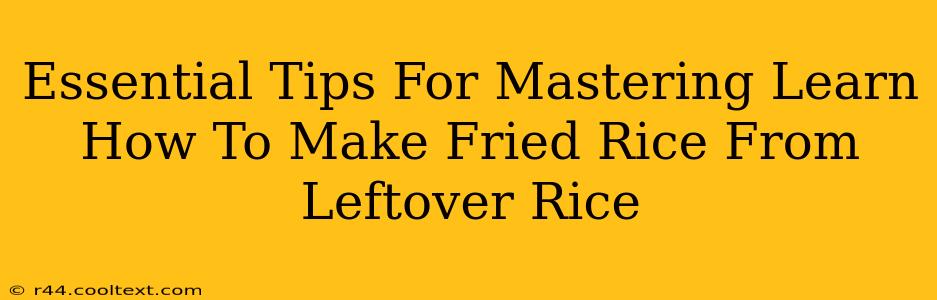 Essential Tips For Mastering Learn How To Make Fried Rice From Leftover Rice