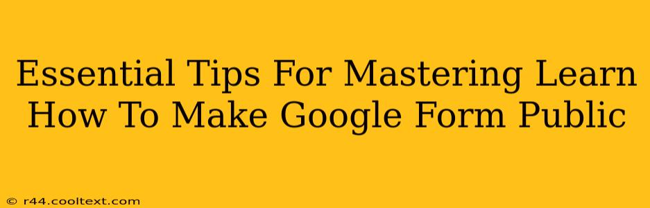 Essential Tips For Mastering Learn How To Make Google Form Public