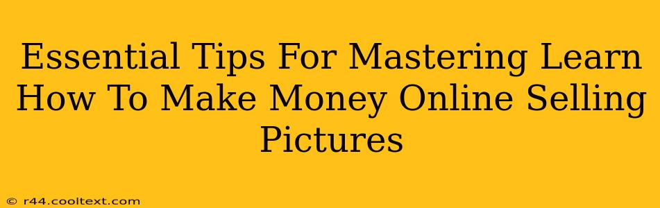 Essential Tips For Mastering Learn How To Make Money Online Selling Pictures