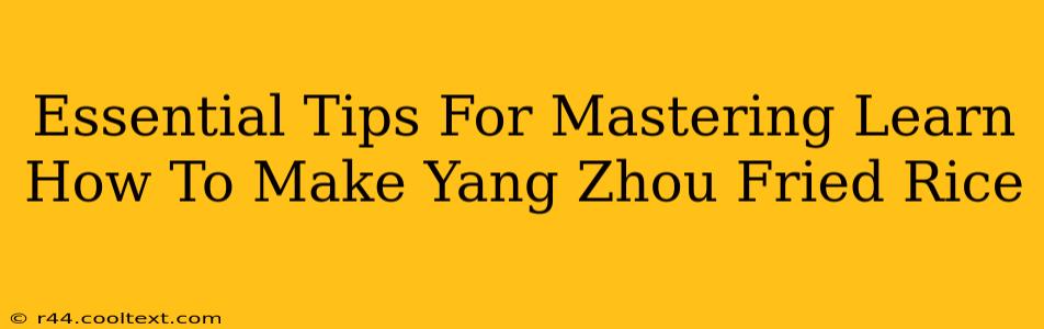 Essential Tips For Mastering Learn How To Make Yang Zhou Fried Rice