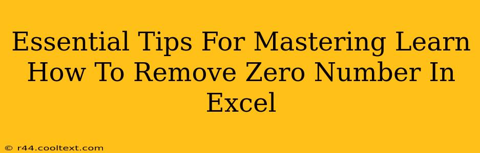 Essential Tips For Mastering Learn How To Remove Zero Number In Excel