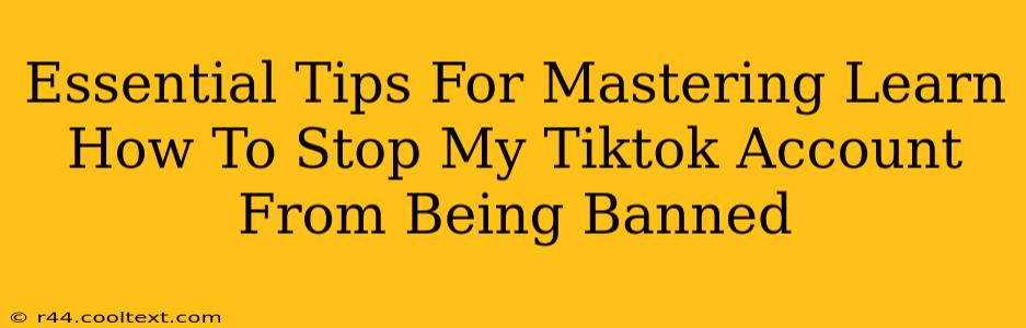 Essential Tips For Mastering Learn How To Stop My Tiktok Account From Being Banned