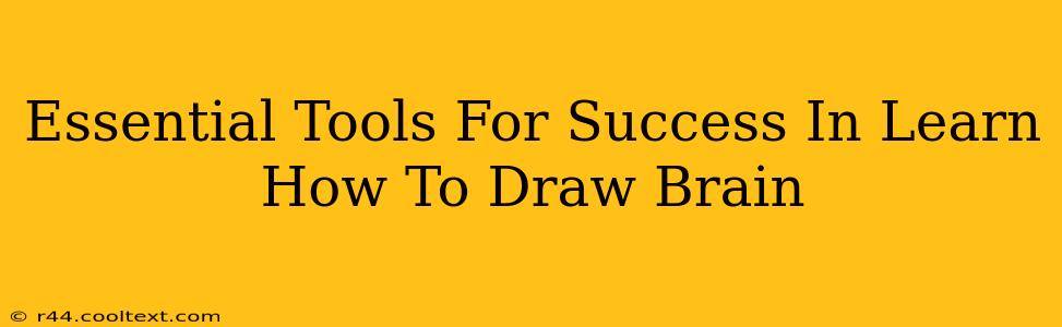 Essential Tools For Success In Learn How To Draw Brain