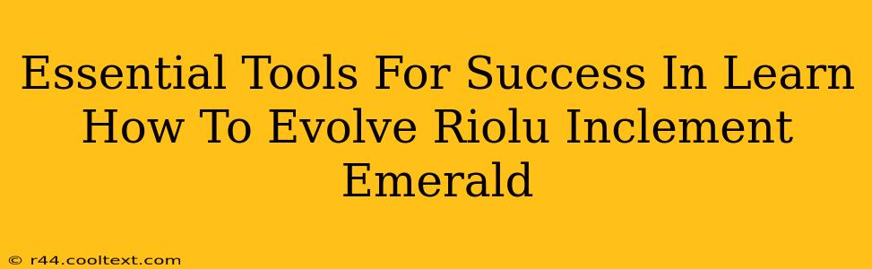 Essential Tools For Success In Learn How To Evolve Riolu Inclement Emerald