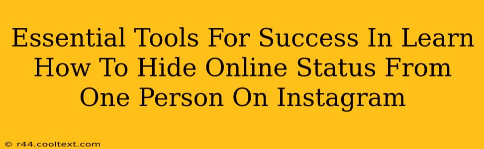 Essential Tools For Success In Learn How To Hide Online Status From One Person On Instagram