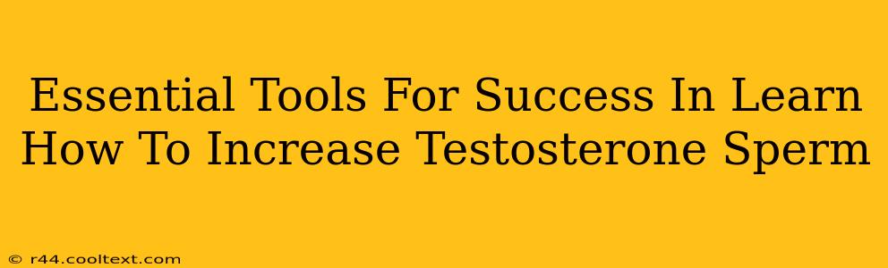 Essential Tools For Success In Learn How To Increase Testosterone Sperm