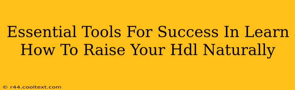 Essential Tools For Success In Learn How To Raise Your Hdl Naturally