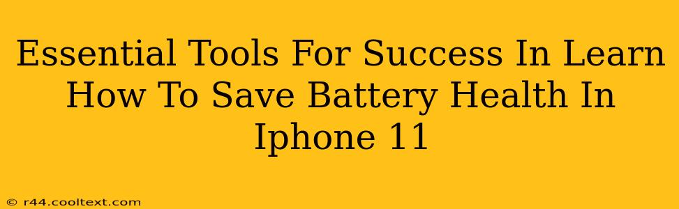 Essential Tools For Success In Learn How To Save Battery Health In Iphone 11