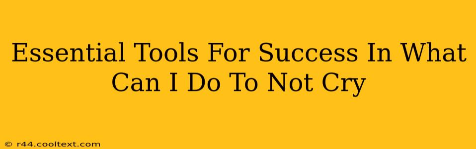 Essential Tools For Success In What Can I Do To Not Cry