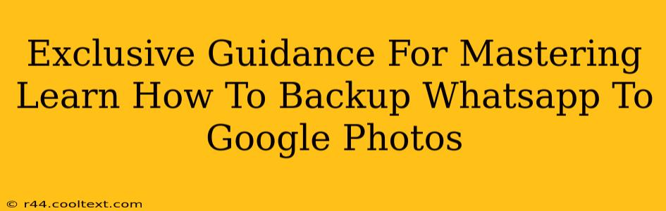 Exclusive Guidance For Mastering Learn How To Backup Whatsapp To Google Photos