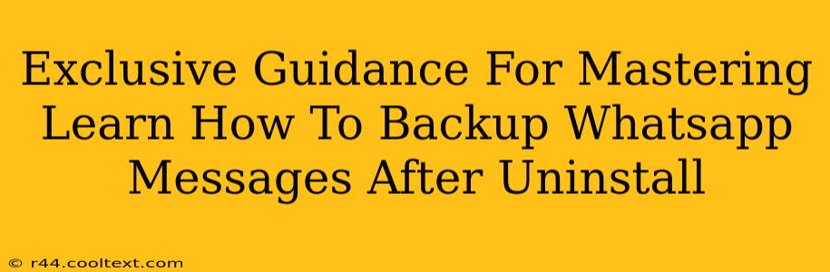 Exclusive Guidance For Mastering Learn How To Backup Whatsapp Messages After Uninstall