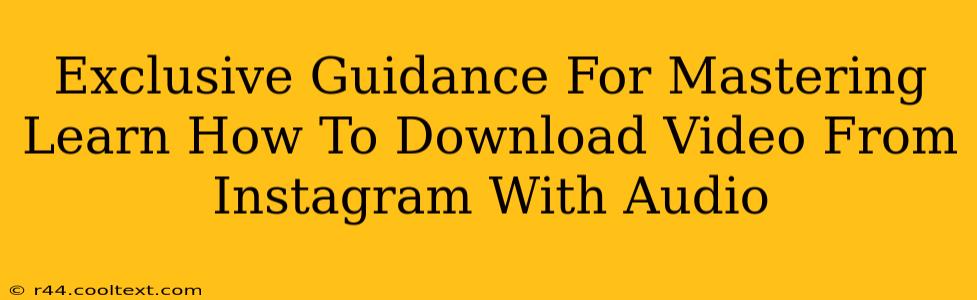 Exclusive Guidance For Mastering Learn How To Download Video From Instagram With Audio