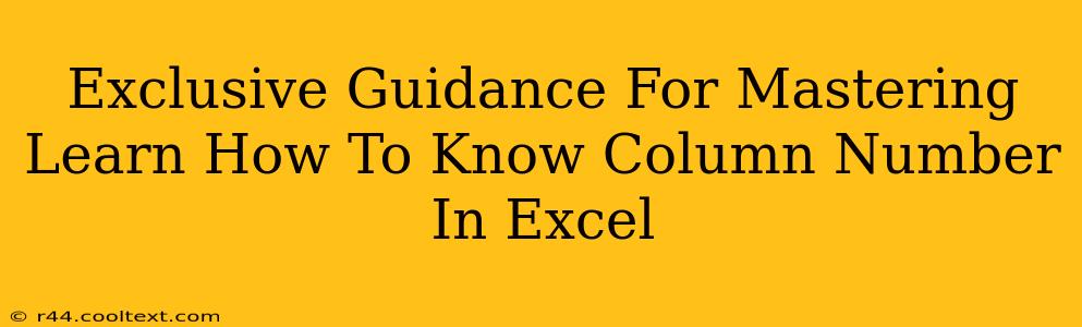 Exclusive Guidance For Mastering Learn How To Know Column Number In Excel