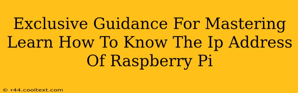 Exclusive Guidance For Mastering Learn How To Know The Ip Address Of Raspberry Pi