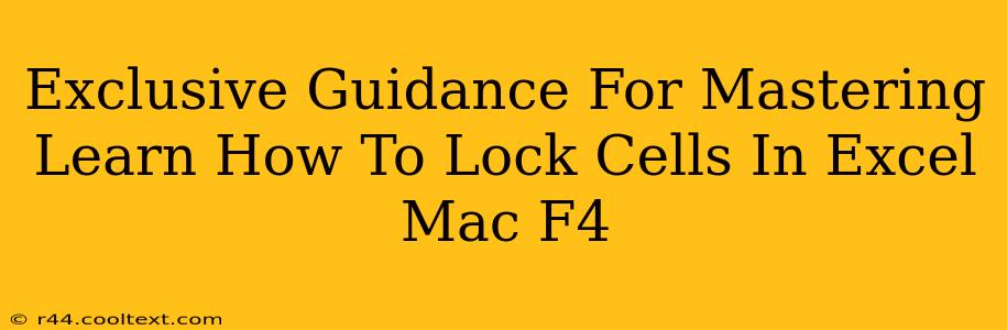 Exclusive Guidance For Mastering Learn How To Lock Cells In Excel Mac F4