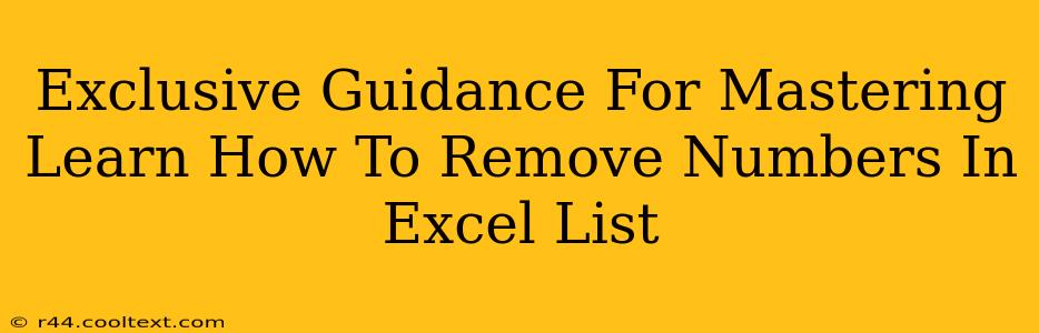 Exclusive Guidance For Mastering Learn How To Remove Numbers In Excel List